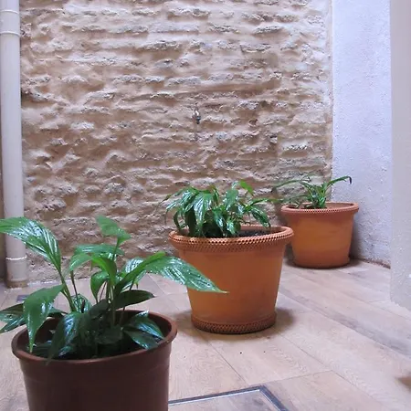 The Balcony Apartment Seville
